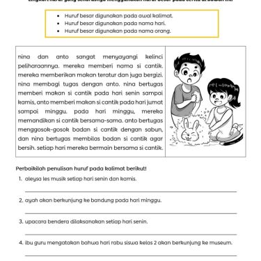 5 Contoh Cerita Singkat untuk Soal Bahasa Indonesia Anak Kelas 3 SD yang Wajib Tahu