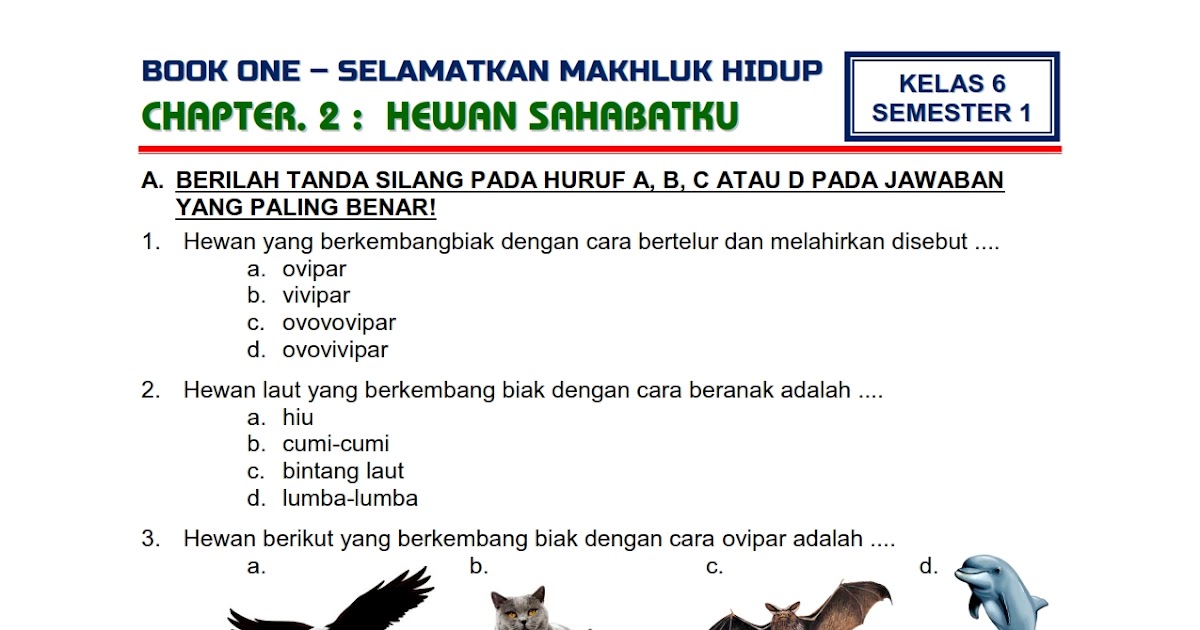 7 Rahasia Menguasai contoh soal ujian tematik kelas 6 tema 1 subtema 2 Sebelum Nilai Turun
